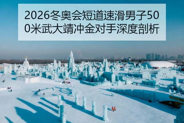 2026冬奥会短道速滑男子500米武大靖冲金对手深度剖析